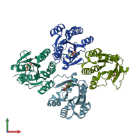 PDB entry 2gf0 coloured by chain, front view.