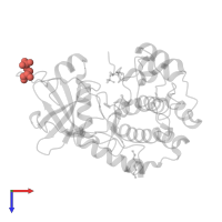 Modified residue SEP in PDB entry 2gfc, assembly 1, top view.