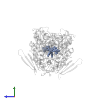 FLAVIN-ADENINE DINUCLEOTIDE in PDB entry 2gh5, assembly 1, side view.