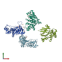 PDB entry 2ghi coloured by chain, front view.
