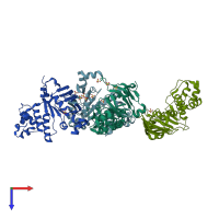 PDB entry 2ghi coloured by chain, top view.