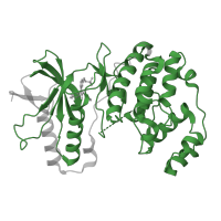 The deposited structure of PDB entry 2ghl contains 1 copy of Pfam domain PF00069 (Protein kinase domain) in Mitogen-activated protein kinase 14. Showing 1 copy in chain A.