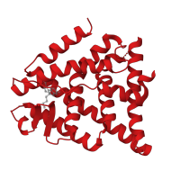 The deposited structure of PDB entry 2giu contains 1 copy of CATH domain 1.10.565.10 (Retinoid X Receptor) in Estrogen receptor beta. Showing 1 copy in chain A.