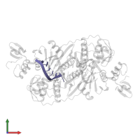 5'-R(*AP*GP*GP*UP*CP*GP*C)-3' in PDB entry 2gjw, assembly 1, front view.