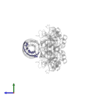 5'-R(*AP*GP*GP*UP*CP*GP*C)-3' in PDB entry 2gjw, assembly 1, side view.