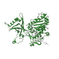 The deposited structure of PDB entry 2glf contains 4 copies of Pfam domain PF02127 (Aminopeptidase I zinc metalloprotease (M18)) in Probable M18 family aminopeptidase 1. Showing 1 copy in chain A.