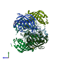 PDB entry 2gll coloured by chain, side view.