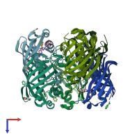 PDB entry 2glp coloured by chain, top view.