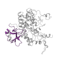 The deposited structure of PDB entry 2gls contains 12 copies of Pfam domain PF03951 (Glutamine synthetase, beta-Grasp domain) in Glutamine synthetase. Showing 1 copy in chain A.