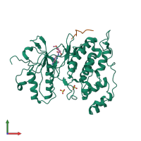 Hetero dimeric assembly 2 of PDB entry 2gmx coloured by chemically distinct molecules, front view.