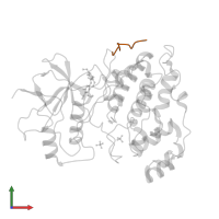 C-Jun-amino-terminal kinase-interacting protein 1 in PDB entry 2gmx, assembly 1, front view.