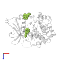 (S)-2-METHYL-1-[(4-METHYL-5-ISOQUINOLINE)SULFONYL]-HOMOPIPERAZINE in PDB entry 2gnh, assembly 1, top view.