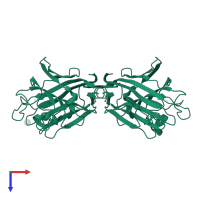 Legume lectin domain-containing protein in PDB entry 2gnm, assembly 1, top view.