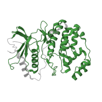 The deposited structure of PDB entry 2gph contains 1 copy of Pfam domain PF00069 (Protein kinase domain) in Mitogen-activated protein kinase 1. Showing 1 copy in chain A.