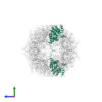 Proteasome subunit alpha type-2 in PDB entry 2gpl, assembly 1, side view.