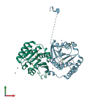 PDB entry 2gpy coloured by chain, front view.