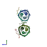 PDB entry 2gr7 coloured by chain, side view.