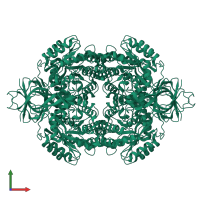 Homo tetrameric assembly 1 of PDB entry 2gse coloured by chemically distinct molecules, front view.