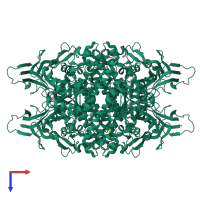Homo tetrameric assembly 1 of PDB entry 2gse coloured by chemically distinct molecules, top view.