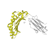 The deposited structure of PDB entry 2gt9 contains 2 copies of SCOP domain 54453 (MHC antigen-recognition domain) in HLA class I histocompatibility antigen, A alpha chain. Showing 1 copy in chain A.