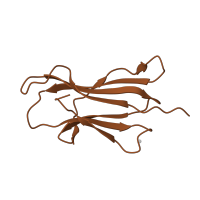 The deposited structure of PDB entry 2gt9 contains 2 copies of CATH domain 2.60.40.10 (Immunoglobulin-like) in Beta-2-microglobulin. Showing 1 copy in chain B.