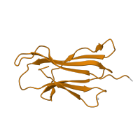 The deposited structure of PDB entry 2gt9 contains 2 copies of SCOP domain 48942 (C1 set domains (antibody constant domain-like)) in Beta-2-microglobulin. Showing 1 copy in chain B.