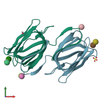 PDB entry 2gud coloured by chain, front view.