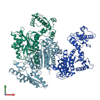 PDB entry 2guw coloured by chain, front view.