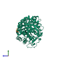 PDB entry 2guy coloured by chain, side view.