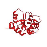 The deposited structure of PDB entry 2gwf contains 3 copies of CATH domain 3.40.250.10 (Oxidized Rhodanese; domain 1) in Ubiquitin carboxyl-terminal hydrolase 8. Showing 1 copy in chain E.