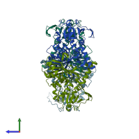 PDB entry 2gyy coloured by chain, side view.