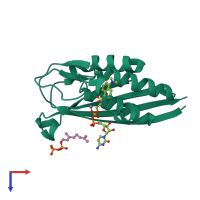PDB entry 2gzl coloured by chain, top view.