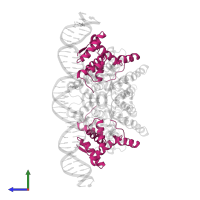 Antitoxin FitA in PDB entry 2h1o, assembly 1, side view.