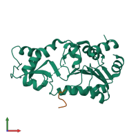 PDB entry 2h2f coloured by chain, front view.