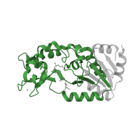 The deposited structure of PDB entry 2h2i contains 1 copy of Pfam domain PF02146 (Sir2 family) in NAD-dependent protein deacetylase. Showing 1 copy in chain A.