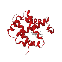 The deposited structure of PDB entry 2h35 contains 2 copies of CATH domain 1.10.490.10 (Globin-like) in Hemoglobin subunit alpha. Showing 1 copy in chain A.