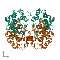 Hetero tetrameric assembly 1 of PDB entry 2h35 coloured by chemically distinct molecules, front view.