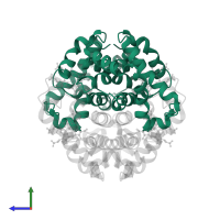 Hemoglobin subunit alpha in PDB entry 2h35, assembly 1, side view.