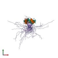 PDB entry 2h3a coloured by chain, ensemble of 20 models, front view.