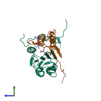 PDB entry 2h48 coloured by chain, side view.