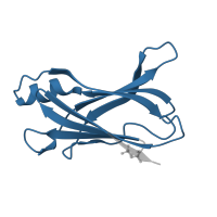 The deposited structure of PDB entry 2h4e contains 2 copies of Pfam domain PF00576 (HIUase/Transthyretin family) in Transthyretin. Showing 1 copy in chain A.