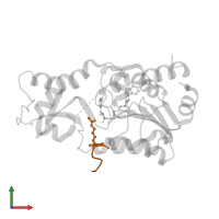 Cellular tumor antigen p53 in PDB entry 2h4h, assembly 1, front view.
