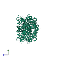 Bisphosphoglycerate mutase in PDB entry 2h52, assembly 1, side view.