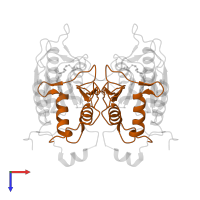 Caspase-1 subunit p10 in PDB entry 2h54, assembly 1, top view.