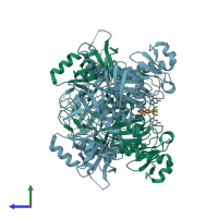 PDB entry 2h5e coloured by chain, side view.
