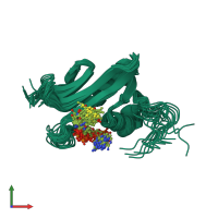 PDB entry 2h5m coloured by chain, ensemble of 20 models, front view.
