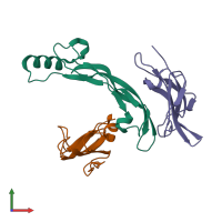 PDB entry 2h64 coloured by chain, front view.