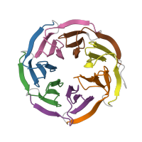 The deposited structure of PDB entry 2h6n contains 14 copies of Pfam domain PF00400 (WD domain, G-beta repeat) in WD repeat-containing protein 5. Showing 7 copies in chain B.