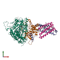PDB entry 2h89 coloured by chain, front view.