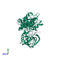 Proto-oncogene tyrosine-protein kinase Src in PDB entry 2h8h, assembly 1, side view.